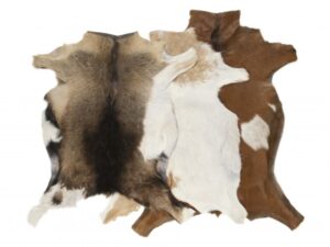 Animal Hide