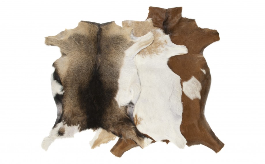 Animal Hide