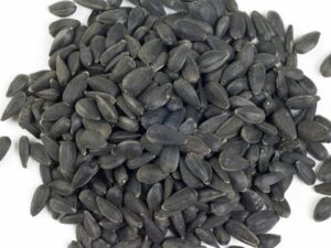 Sunflower seed