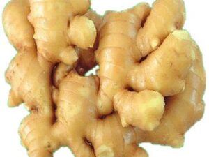 Fresh Ginger
