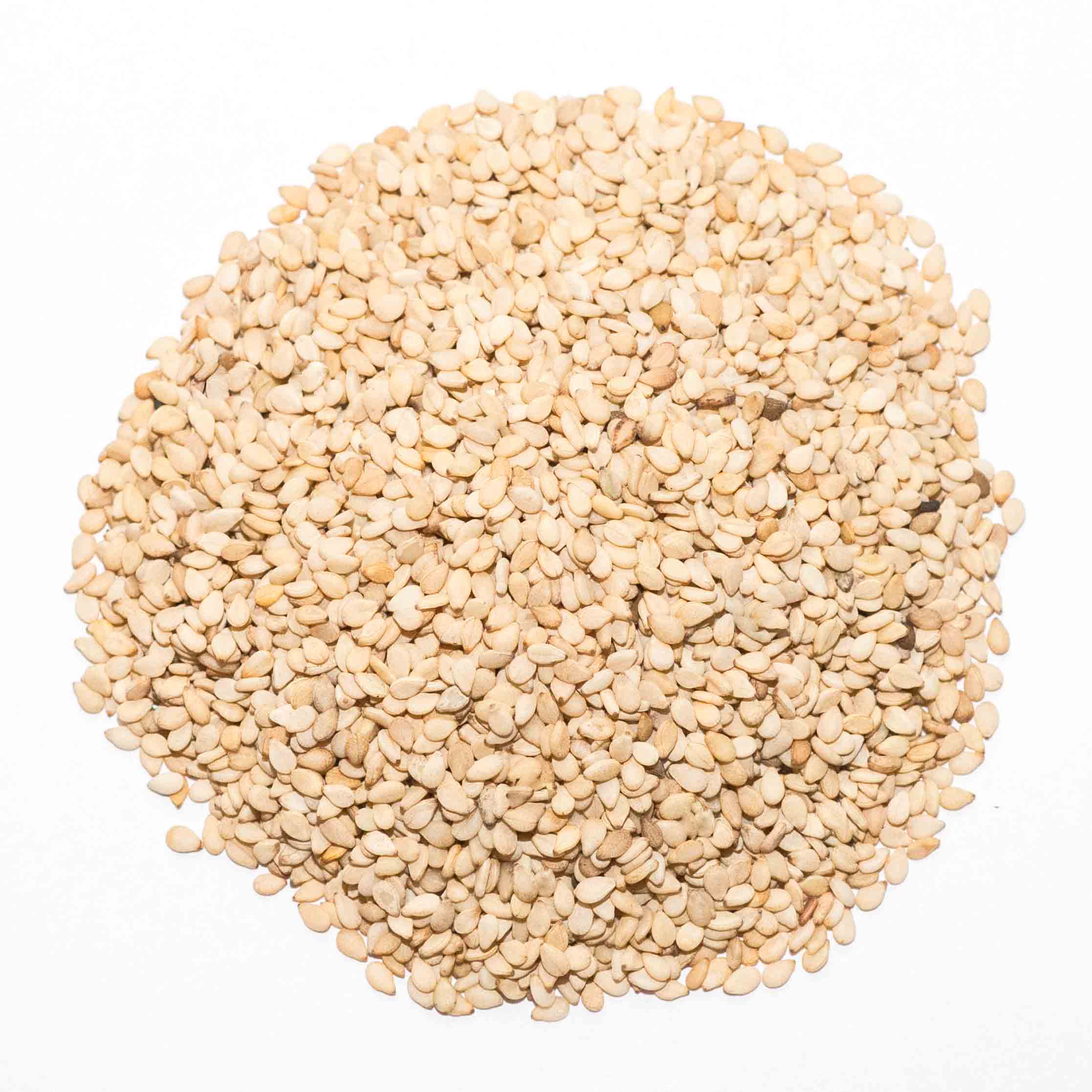 Sesame Seeds