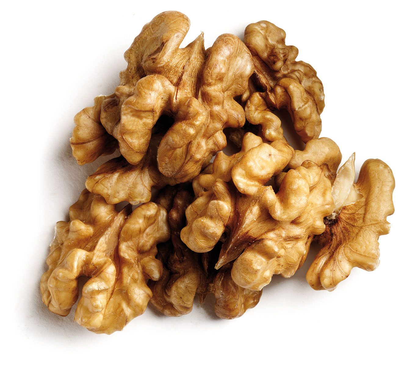 Walnut