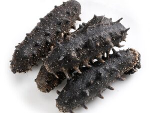 Frozen and Dried Sea cucumber