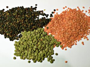Lentil